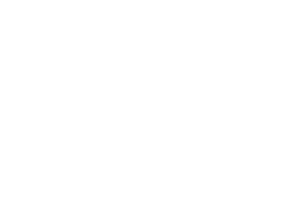ibi